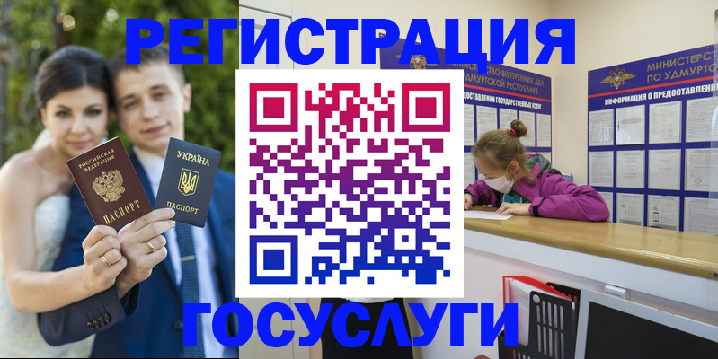 прописка поиск в Долгопрудном